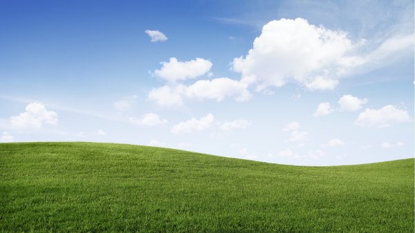 Трава и небо