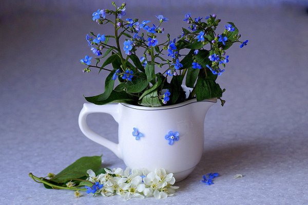 Пожелания с добрым весенним утром