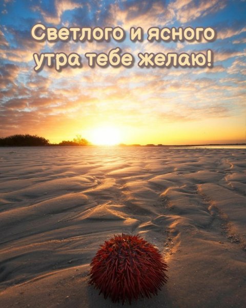 Доброго мирного утра