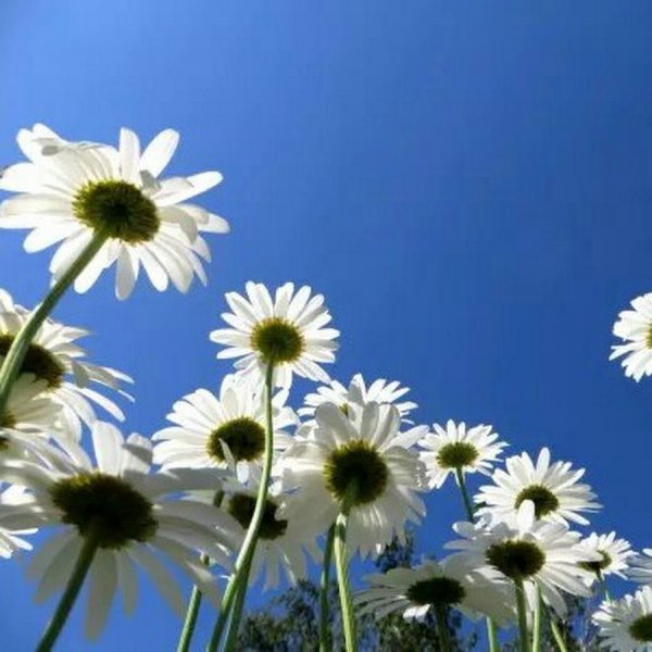 Доброе солнечное утро хорошего дня