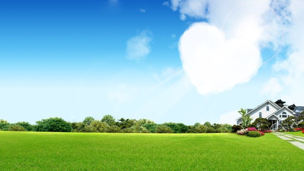 Газон и небо