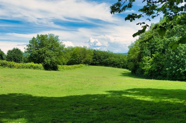 Зеленая лужайка горизонтально
