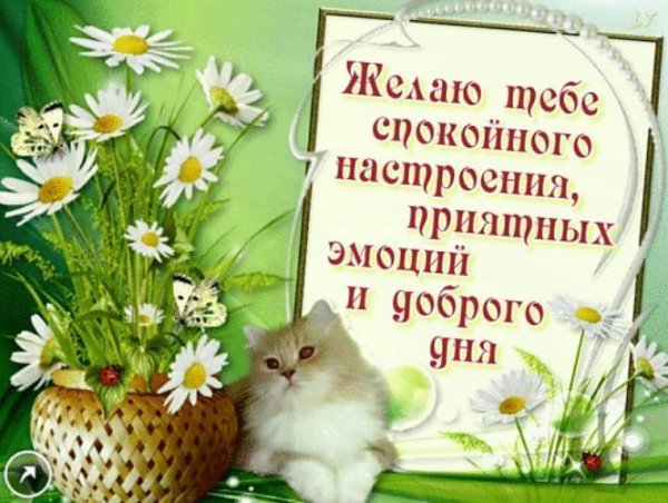 Мира и добра