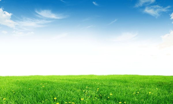 Фон лужайка и голубое небо