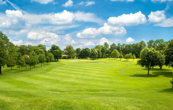 Природа лужайка