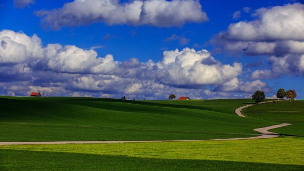 Красивое зеленое поле