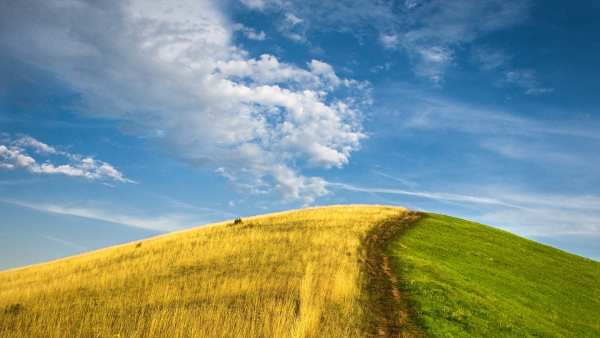 Поле холмы небо