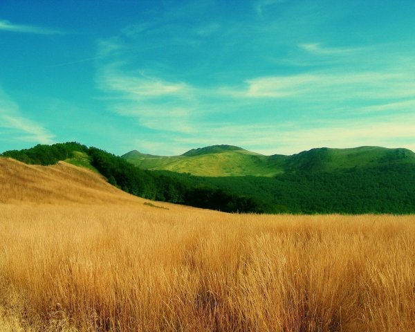 Green Hills зеленые холмы