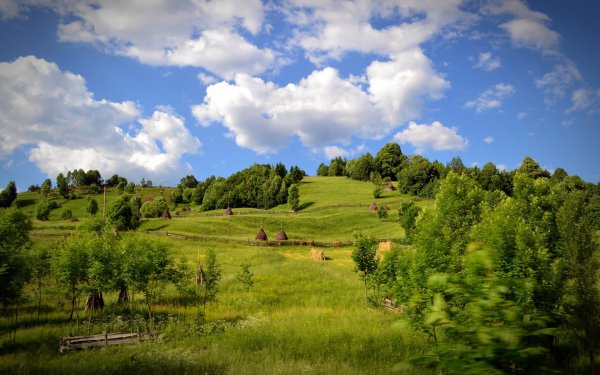 Детский пейзаж