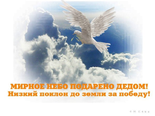 Мирного неба над головой и яркого солнца