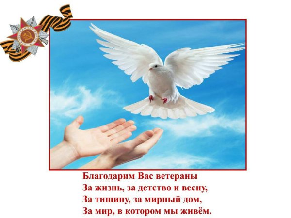 Изображение мирной жизни