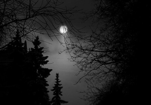 Черная ночь