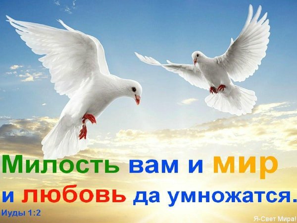 Счастья мира и добра