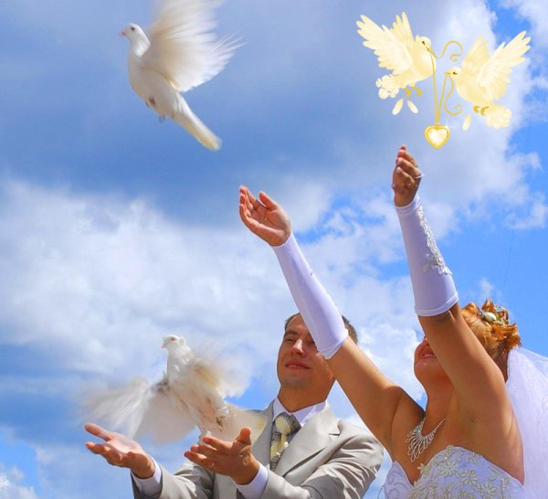 Молодожены с голубями