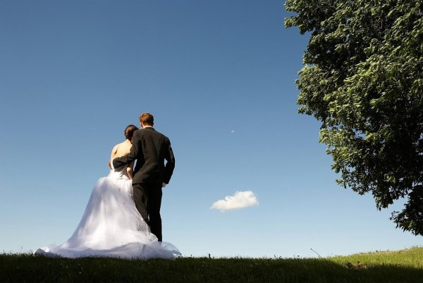 Новобрачные со спины