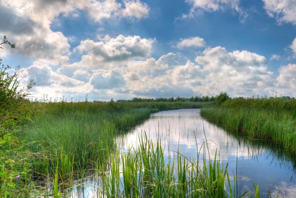 Природа река Луга
