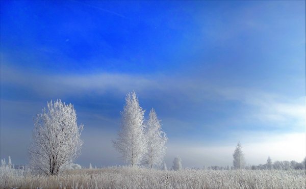 Зима чистое небо