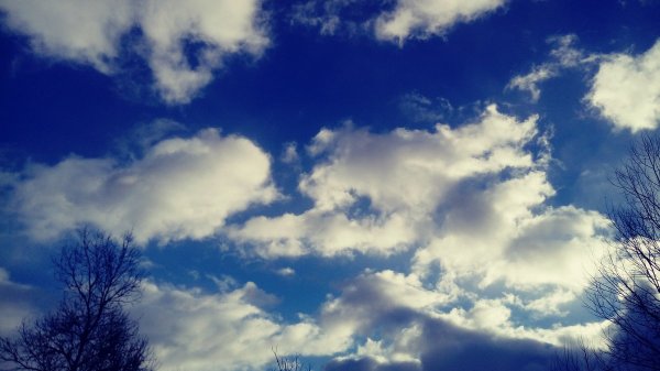 Зимнее поле