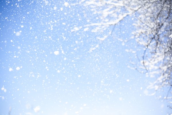 Зима снег поле