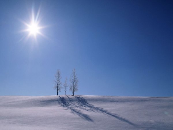 Зимнее небо