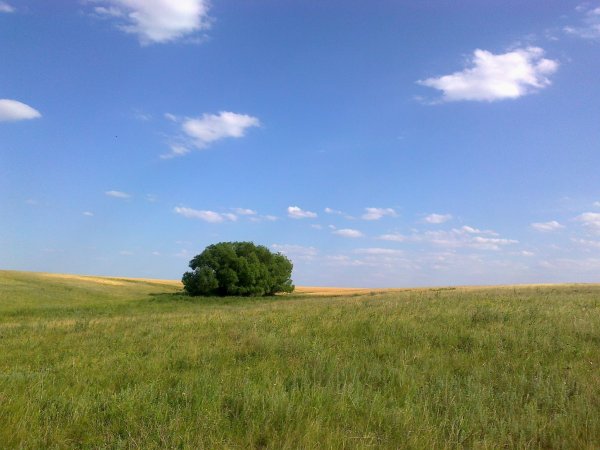 Степь Горизонт