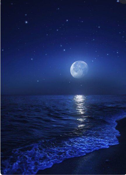 Ночное море