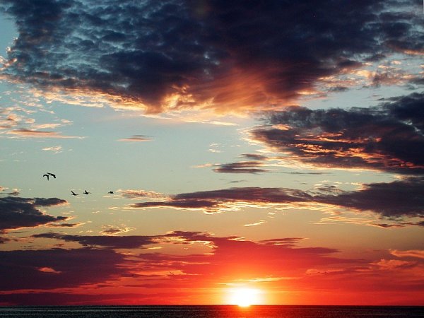 Предзакатное небо