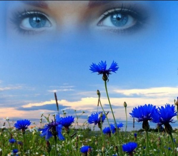 Живые женские глаза