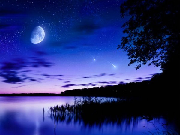 Лето ночь Луна