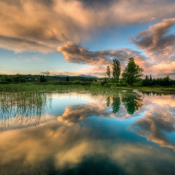 Отражение в воде