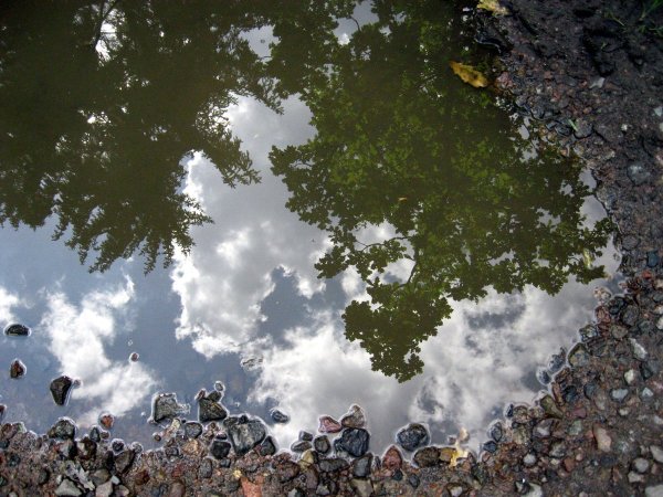 Отражение облаков в воде