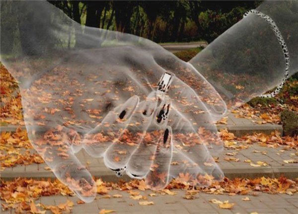 Любовь в облаках