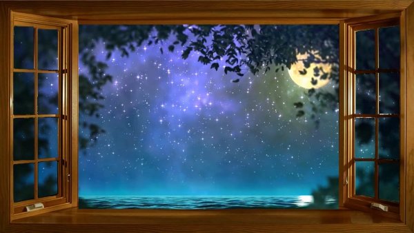 Ночное небо в окне
