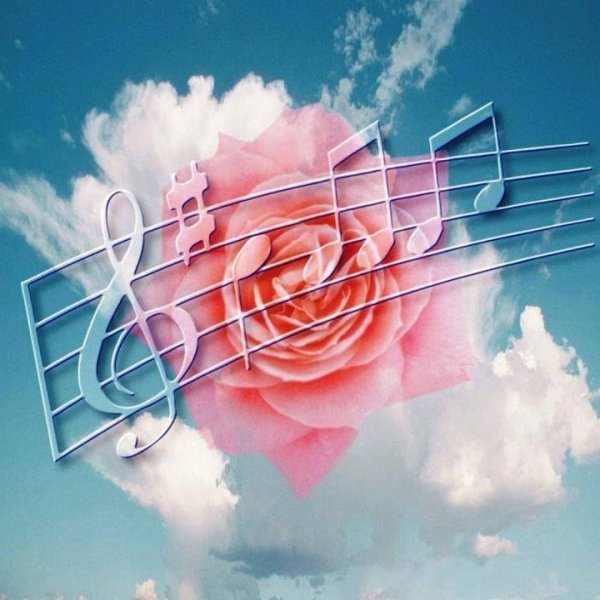 Музыкальная Гармония