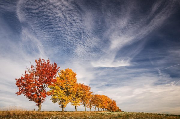 Осеннее небо