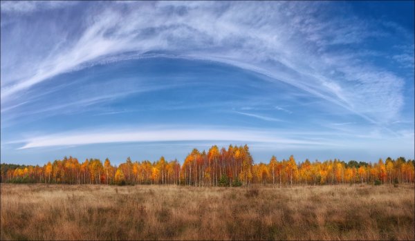 Осень небо