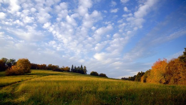 Осень небо