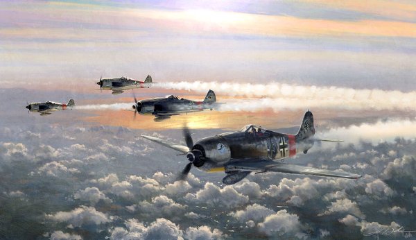 Воздушный бой FW 190