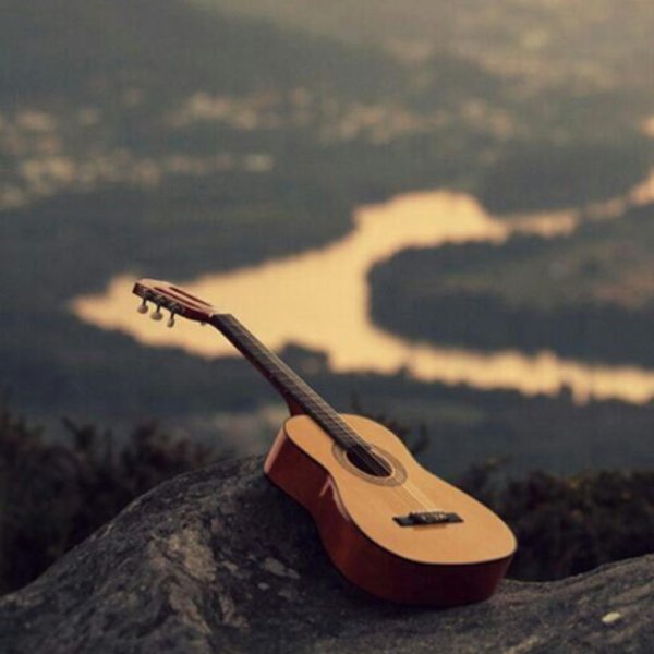 Электрогитара лес