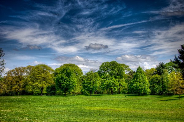 Поляна и небо