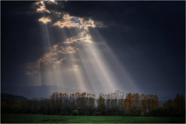 Лучи солнца