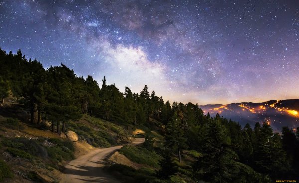 Ночь лес звезды