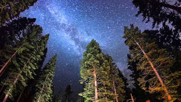 Ночное небо