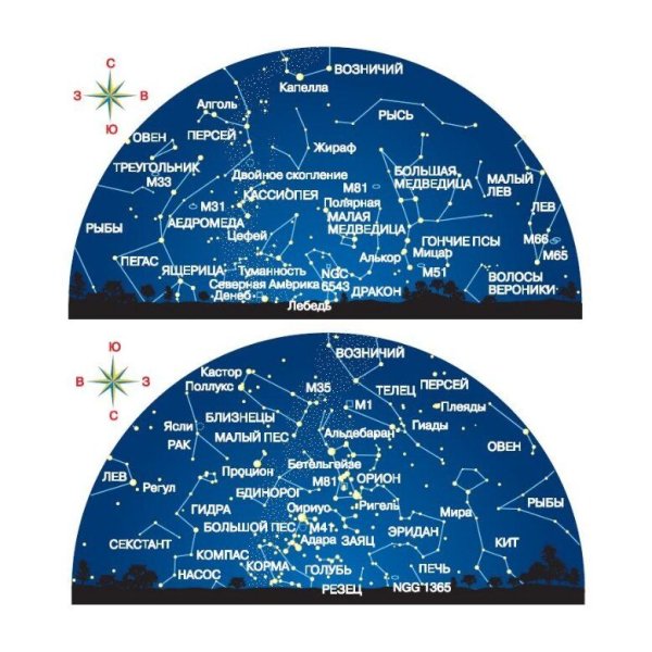 Созвездия Северного полушария