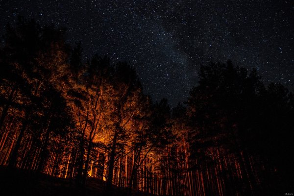 Звезды над озером