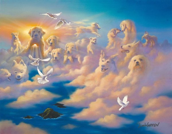 Собачий рай