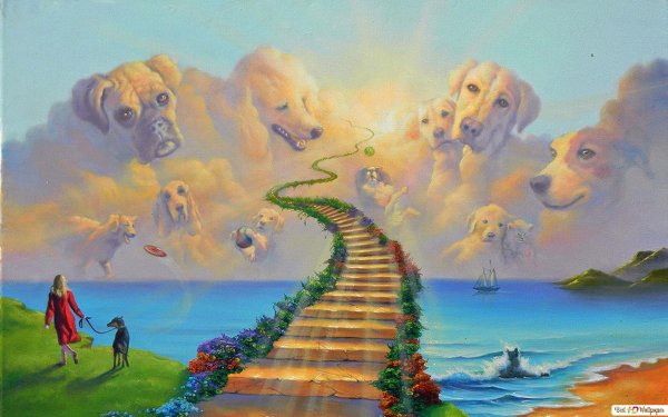 Собака облако