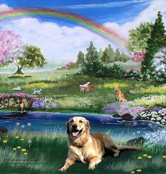 Собака ушла на радугу