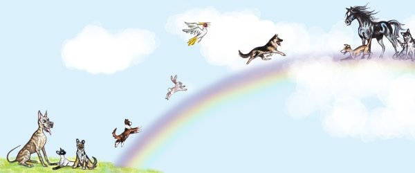 Мост радуги рай для животных