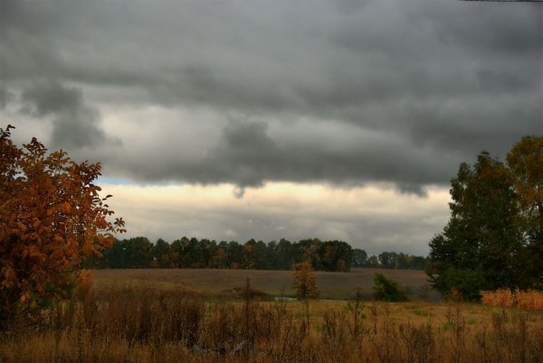 Пасмурное небо осень